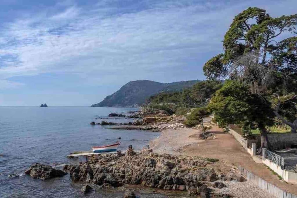 Le Criotto Διαμέρισμα La Seyne-sur-Mer Εξωτερικό φωτογραφία